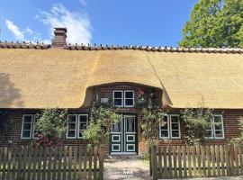 Reetdach-Oase, vacation rental in Brarupholz
