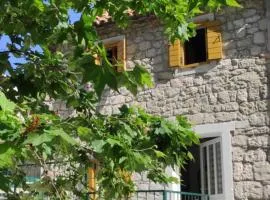 Apartman Branka