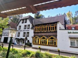 Waldhotel Pfarrmühle, hotel v destinaci Eisenberg