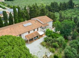 Antichi Palmenti - Alloro, ferme à San Vincenzo