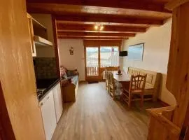 Appartement 4 pers, proche station, balcon ouest, parking couvert - Crest-Voland - FR-1-733-73