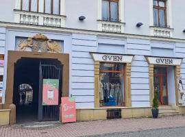 Dolná 4 - apartments in direct centrum on city square, alojamento para férias em Banská Bystrica