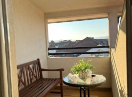 JANA, holiday rental in Veliko Gradište