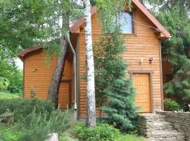 Садиба У Романа 'корпус із сауною'