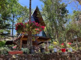 Wild root stay- Orchid Chalet, cabin in Vythiri