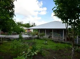 Nika house
