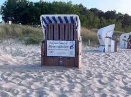 Meerschönheit