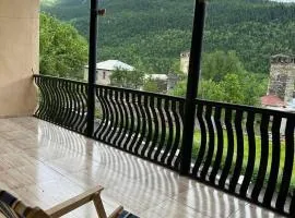 Jachvliani Guest House