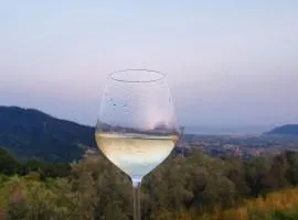 Vinomare Guesthouse