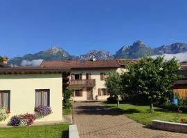 Glicine delle Dolomiti