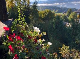 SapplAlm, cabaña o casa de campo en Millstatt