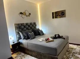 Luxury apartment in center of gueliz