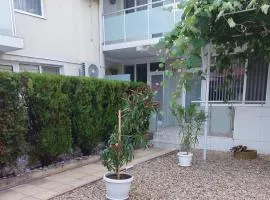 Guest rooms and apartments Desi