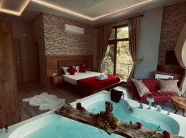 Vadidekal Suite Hotel、Çamlıhemşinのホテル