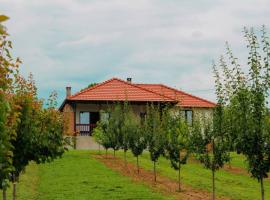 Villa Sladjana, sewaan penginapan di Mladenovac