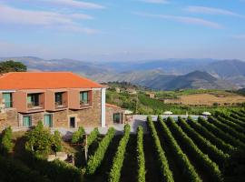 Casa do Santo - Wine & Tourism, cabaña o casa de campo en Provesende