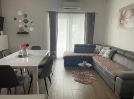 Apartman OZANA