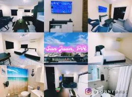 2BD 2BTH Condo in San Juan Unit 1