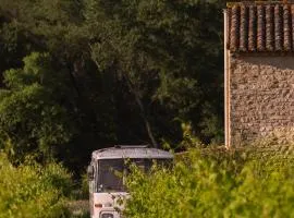 Nuit insolite au milieu des vignes