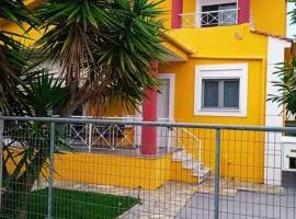The Sunny House