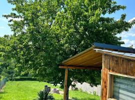 Vikendica Pod Trešnjom, Cottage in Sremska Kamenica