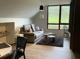 Appartements de Manon au cœur des vignes