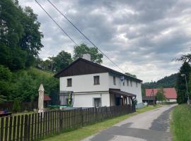 Kamila - ubytování v Krkonoších，Dolni Dvur的滑雪度假村