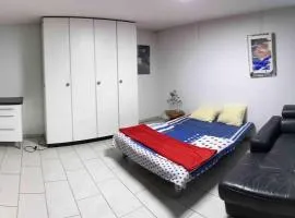 Basel - 5 mins away - Modern Basement Studio with Kitchen 35m2 in Muttenz