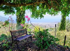 Tizziri rural, landsted i Santa Cruz de Tenerife