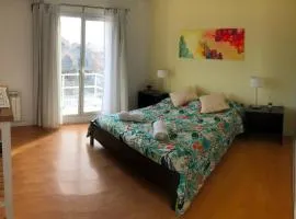 Departamento Mailin
