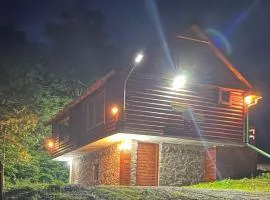 Log cabin 1 Merdovic