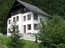 Triglav Park House