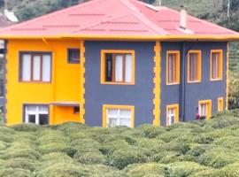 Kemer konak, hotel with parking in Cayeli