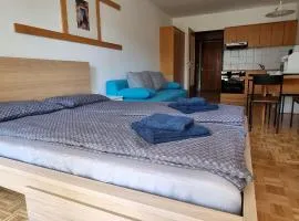 Apartma Luka with private parking