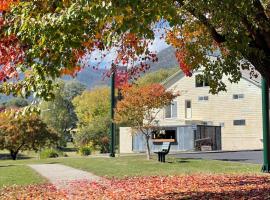 Talbingo Lodge - Selwyn Accommodation, ξενοδοχείο σε Talbingo