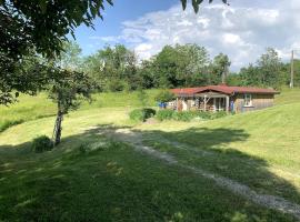 Cabane Sarrogna - Lac de Vouglans, husdjursvänligt hotell i Sarrogna