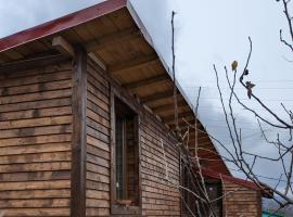 Casa CeDar, Hotel mit Parkplatz in Lupeni