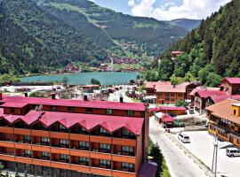 Sezgin Hotel, hotell i Uzungöl