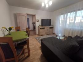 Old Town Apartment 2 bedrooms, 1 living, Ferienwohnung in Baia Mare