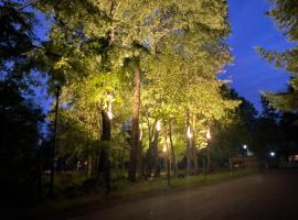 Pucon Villarrica Aldea Molco, family hotel in Molco