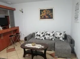 Modernul apartament de lângă Castel