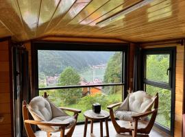 Özen Villa Apart, apartment in Uzungol