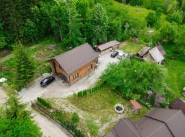 Cabana Vasc, ξενοδοχείο σε Borsa