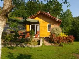 Domek w bieszczadzkim sadzie Solina