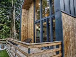 Norway Cabins Sinaia Romantic Nordic Escape and Fire Pit – hotel w mieście Sinaia