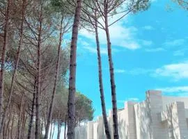Shiny San Pietro Apartment