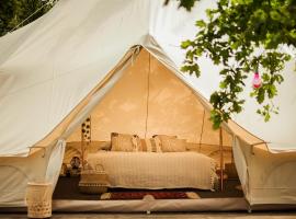 Glamping Hive, hotel que accepta animals 