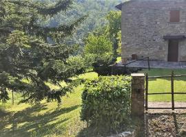 Casa Titina Riposo e Relax nella campagna toscana, leilighet i Pratovecchio