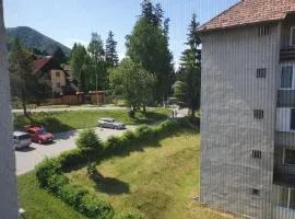 Apartamente La 2-3 Ursuleti