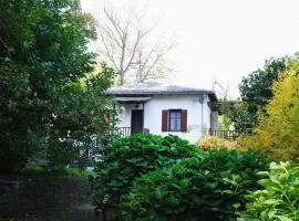 The Cottage in the Trees